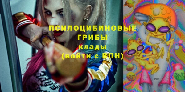 таблы Богородицк