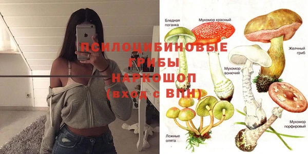 винт Протвино