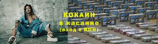 таблы Богородицк