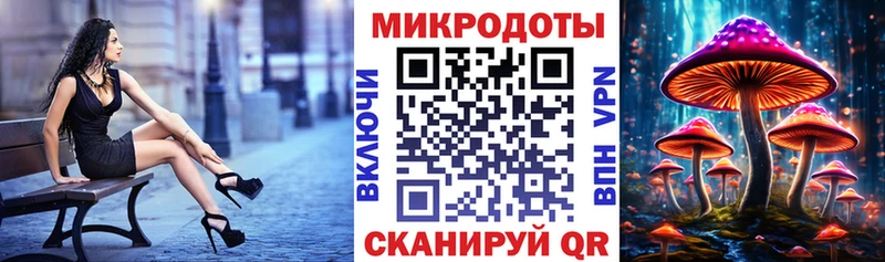 Псилоцибиновые грибы прущие грибы  Шилка 